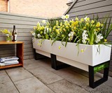 Glowpear Urban Garden Self-Watering Planters
