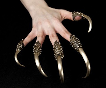 Predator Claw Rings Predator Claw Rings