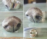 Your Pet's Nose Ring