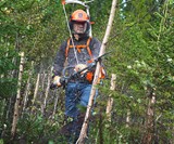 Husqvarna Backpack Chainsaw