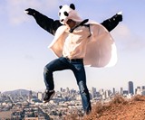 Panda Coat
