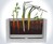 Transparent Root Vegetable Farm Transparent Root Vegetable Farm