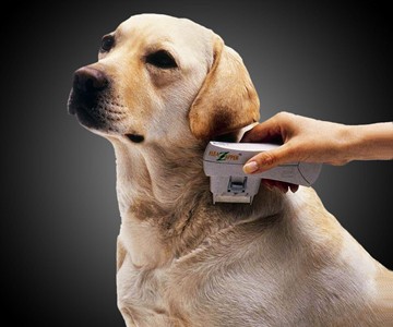Electric Flea Zapper for Pets Electric Flea Zapper for Pets