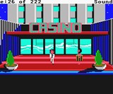 Leisure Suite Larry Casino