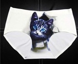 Show Me Your Kitty Panties