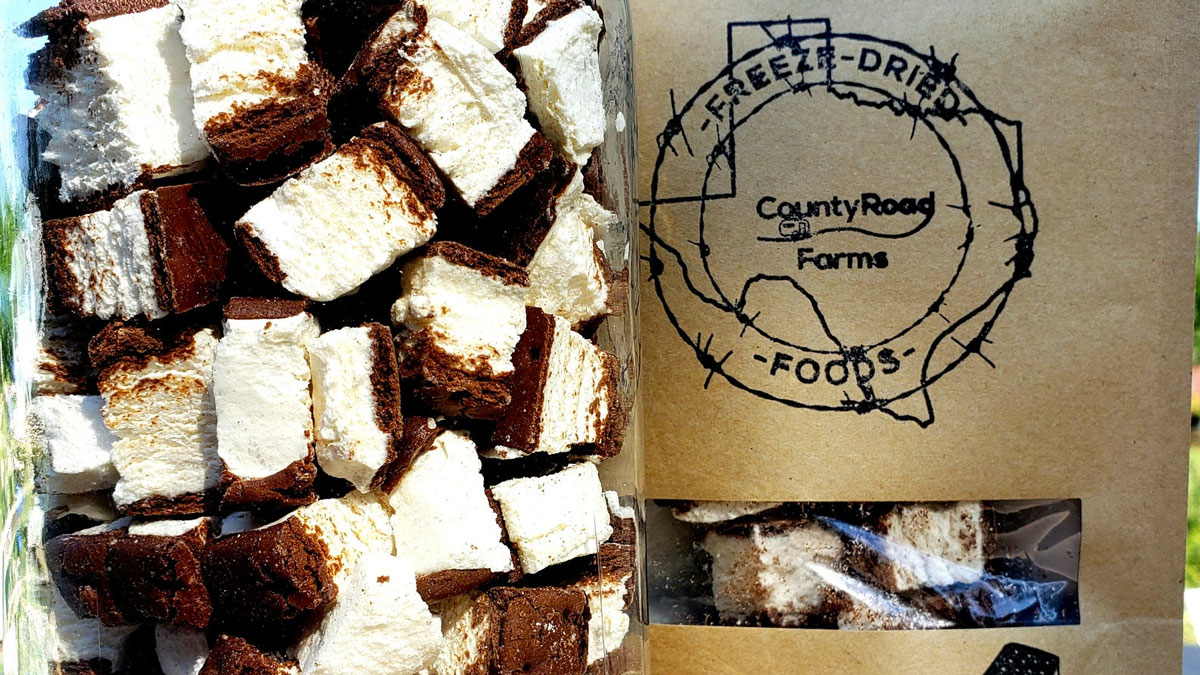 Freeze-Dried Ice Cream Sandwich Bites Freeze-Dried Ice Cream Sandwich Bites