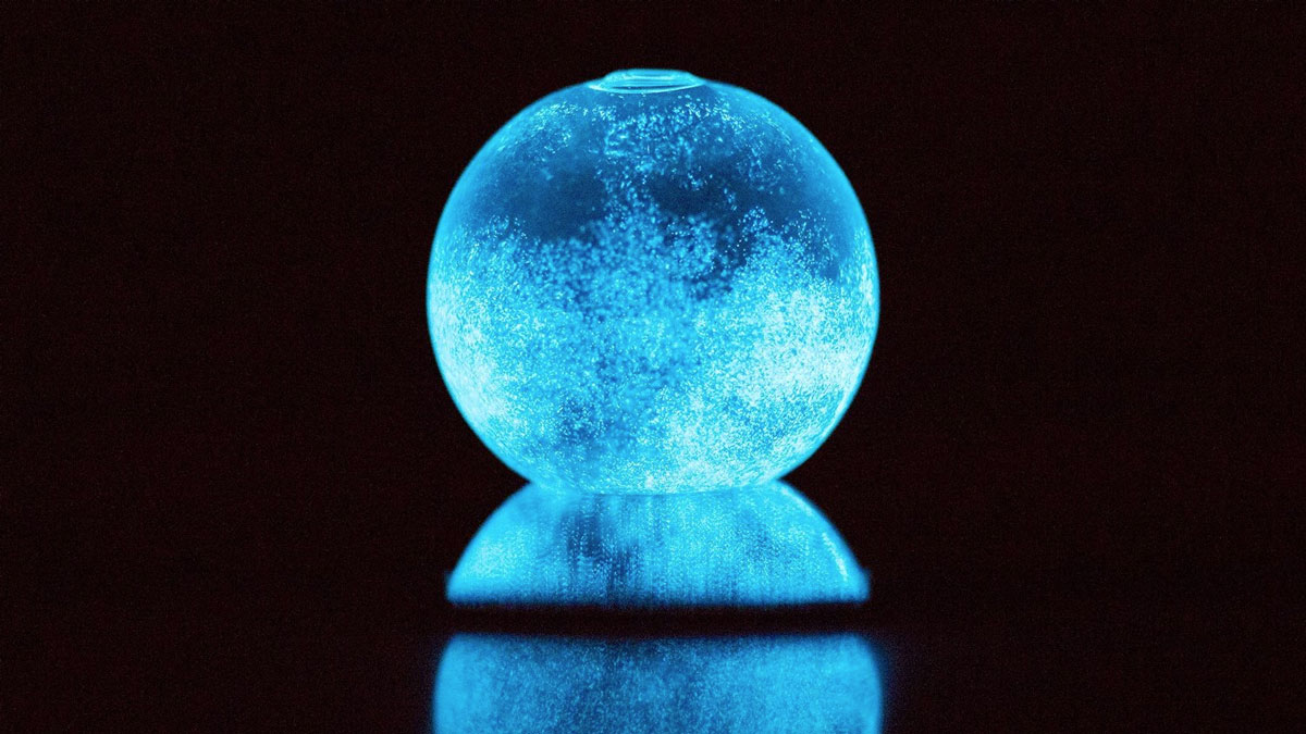 Dino Living Marine Plankton Sphere Dino Living Marine Plankton Sphere