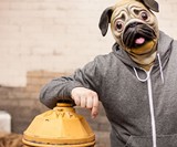 Pug Mask