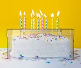 Top It Cake Shield