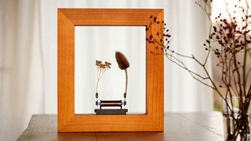 Slow Dance - A Frame that Slows Down Time