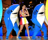 Party Shark Costume