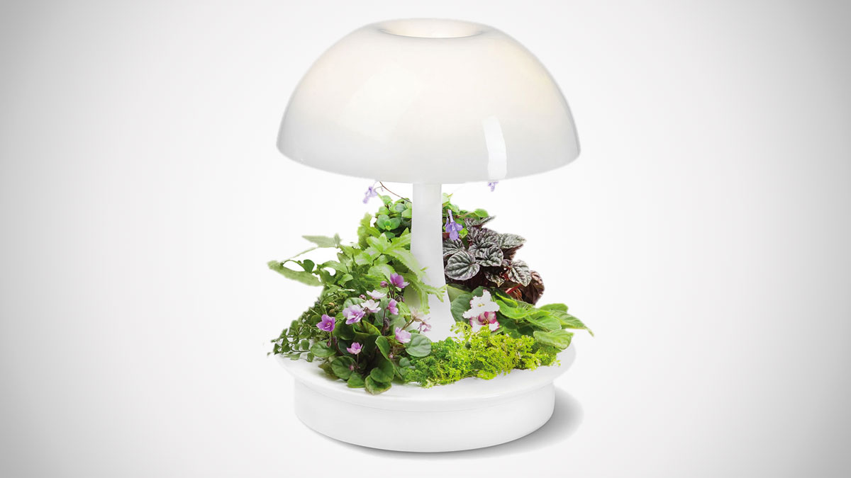 Ambienta Living Table Lamp Ambienta Living Table Lamp