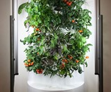 iHarvest Indoor Hydroponic Garden