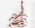 Chocolate Covered Scorpion Chocolate Covered Scorpion