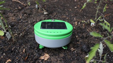 Tertill Garden Weeding Robot
