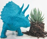 Triceratops Planter - Front View