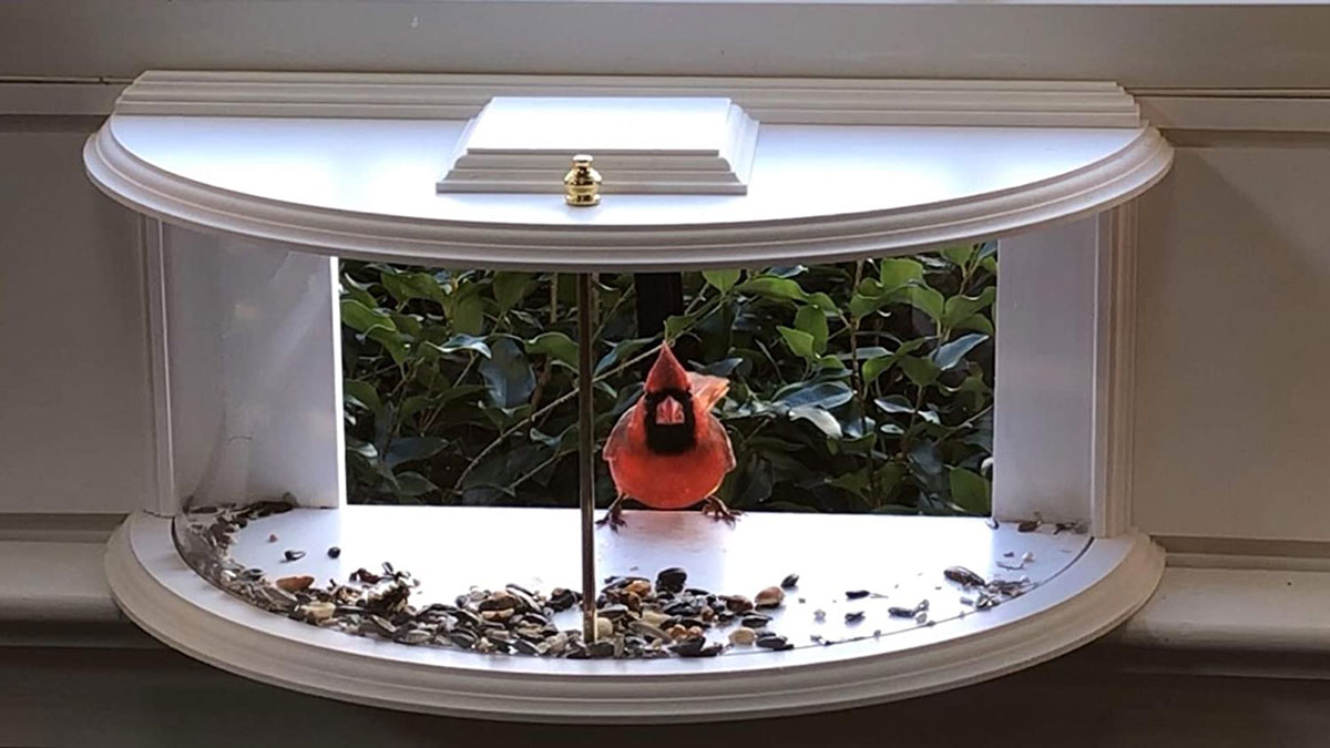 BestNest Clearview Window Bird Feeder
