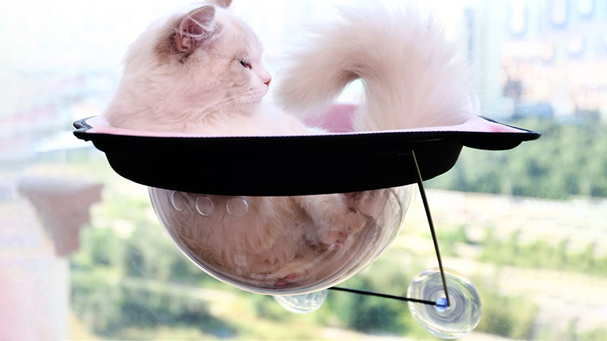 Window-Mounted Suction Cup Cat Saucer