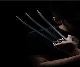 Wolverine Light