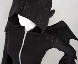 Dragon Hoodie
