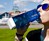 Clean Bottle Square Water Bottle 2-Pack
