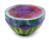 Cover Blubber Food Savers