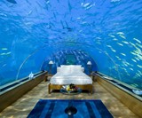 The Underwater Suite-6005