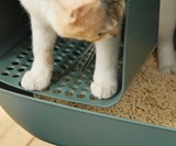 MS Modern Cat Litter Box