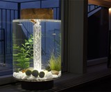 Norrom Freshwater Aquarium