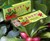 Miracle Berry Fruit Tablets Miracle Berry Fruit Tablets