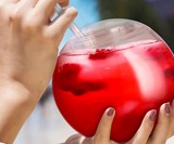 Fish Bowl Glasses