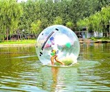Inflatable Water Ball-41
