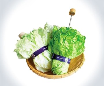 Vegetabrella Lettuce Umbrella Vegetabrella Lettuce Umbrella