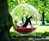 Cocoon 1 - Bubble Abode Cocoon 1 - Bubble Abode