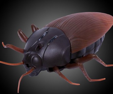 Remote Control Cockroach Remote Control Cockroach