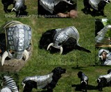 Wild Knight Dog Armor