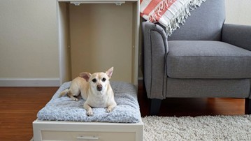 17 of the Best Gifts for Dog Lovers 17 of the Best Gifts for Dog Lovers