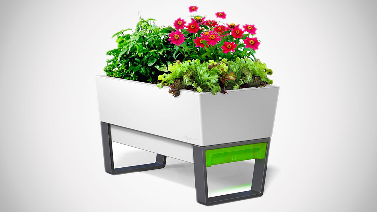 Glowpear Urban Garden Self-Watering Planters Glowpear Urban Garden Self-Watering Planters