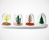 Snow Globe Spice Jars & Seasoning Shakers