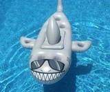 Shark Float Cooler & Beverage Bar