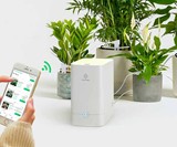 GrowCube - Smart Watering Kit