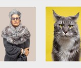Do You Look Like Your Cat? Memory Game