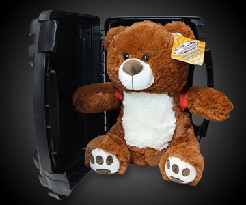 BooBuddy Interactive Ghost Hunting Bear BooBuddy Interactive Ghost Hunting Bear