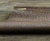 Leather Knife Rolls
