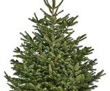 Tree Genie Christmas Tree Stand