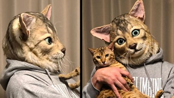 Become Your Cat Mask
