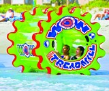 Water Hamster Wheel