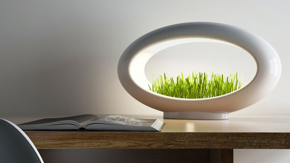 Grasslamp Modern Desktop Garden Grasslamp Modern Desktop Garden