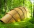Armadillo Tea Canopy