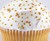 Edible Glitter Edible Glitter